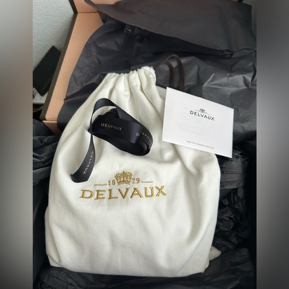 Delvaux cool box nano in bloom with silver hardware - Picture 12 of 12